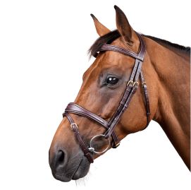 Bridon Muserolle Combinée by DYON