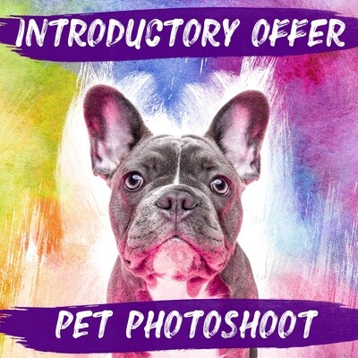 HALF PRICE Pet Photoshoot & £50 Gift Voucher HALF PRICE Pet Photoshoot & £50 Gift Voucher