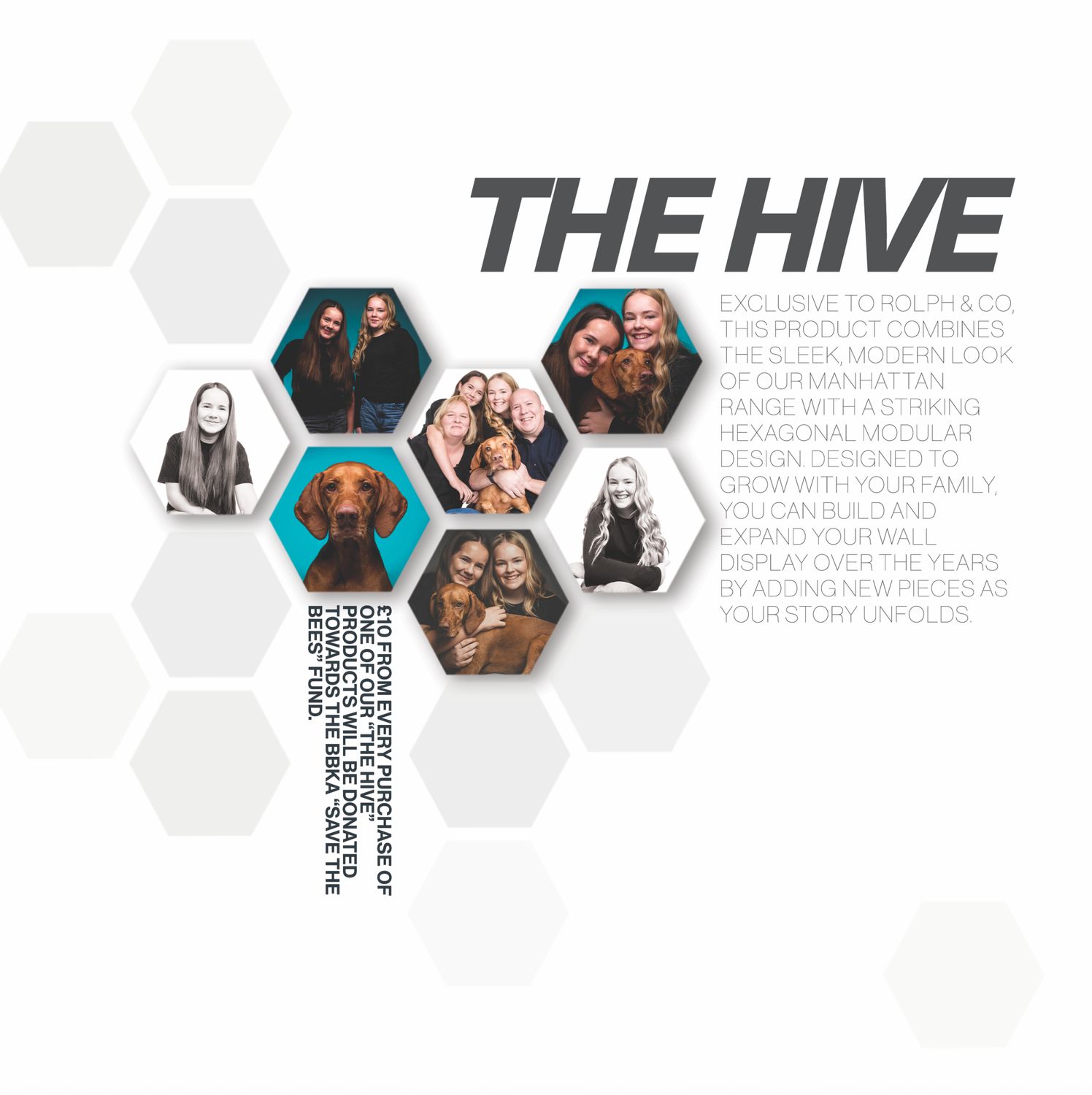 The Hive