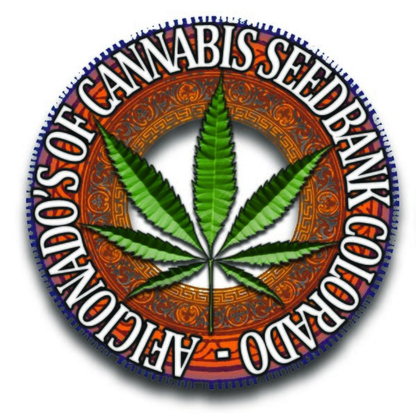 Colorado cannabis seed bank