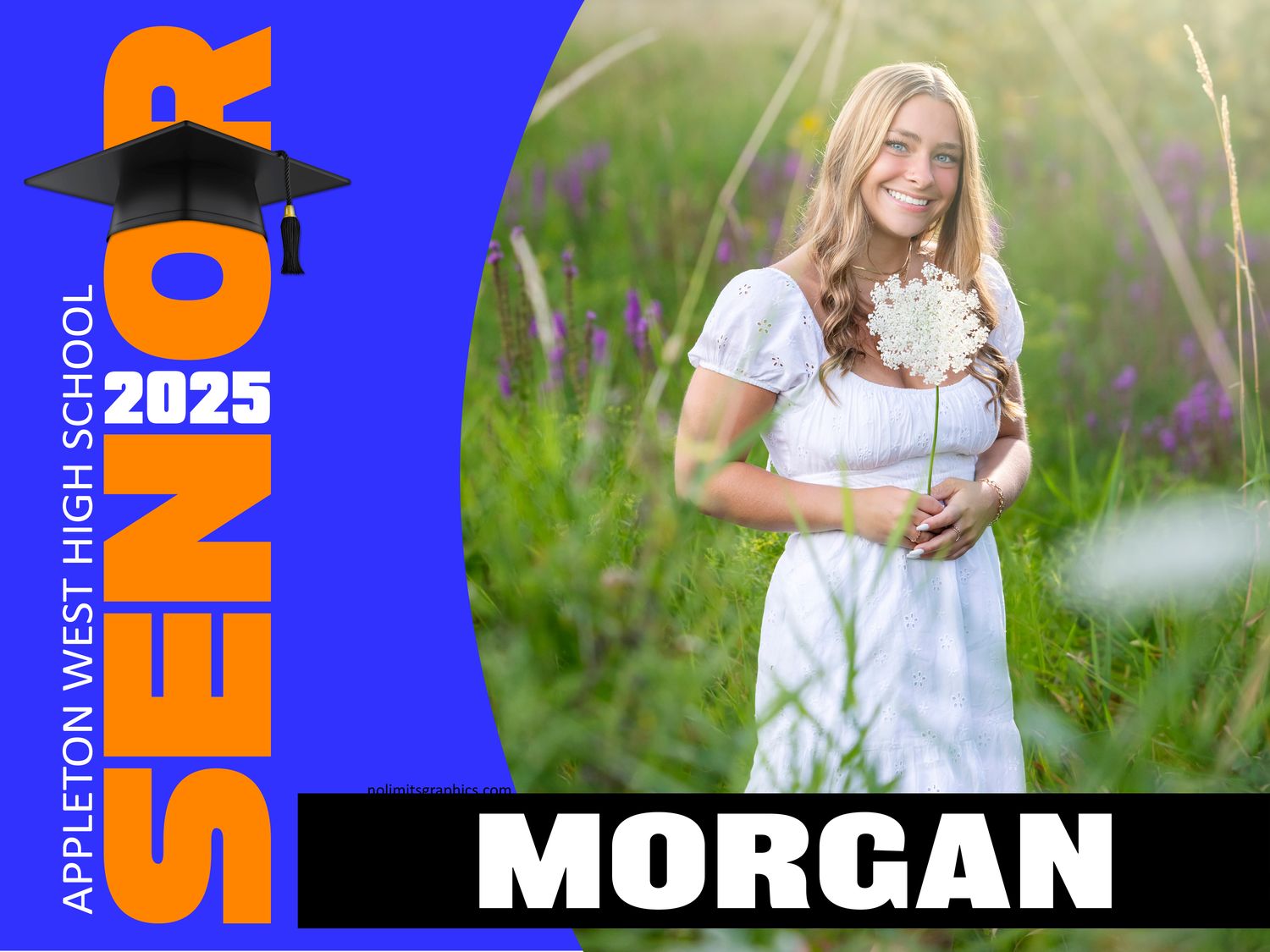 Modern Graduation Yard Signs - ONE IMAGE - LOCAL PICKUP ONLY