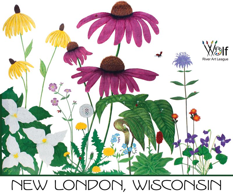 Wisconsin Wildflowers