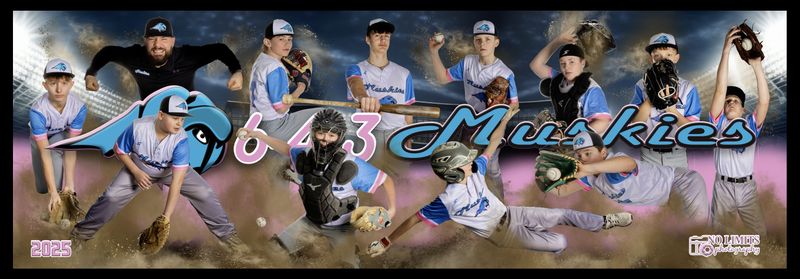 FRAMED Attitude Poster - 12X36 Print