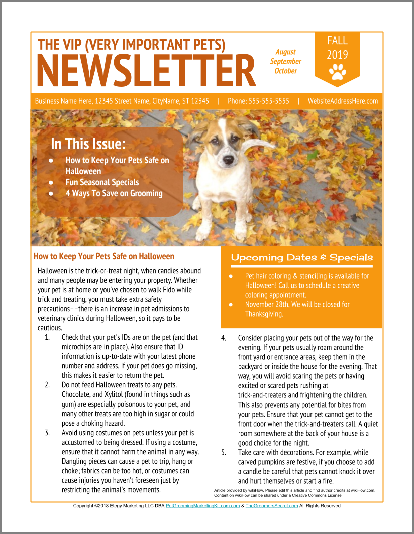 Dog Grooming Fall Season Newsletter Template