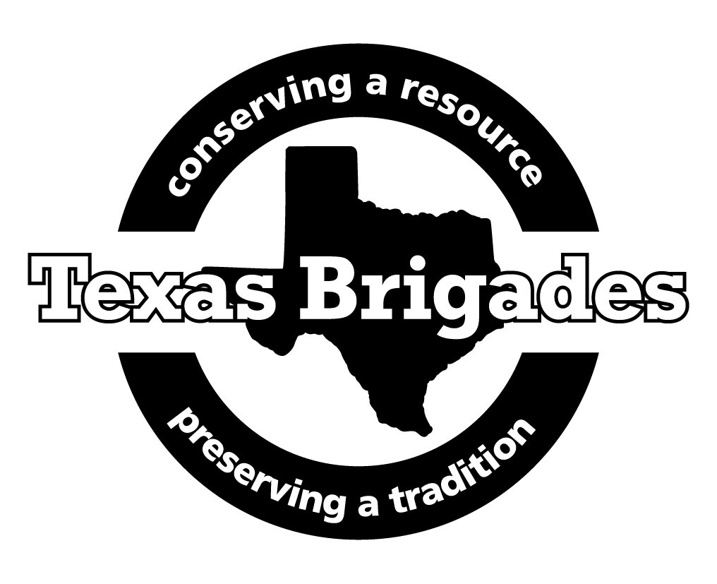 Texas Brigades Logo 4