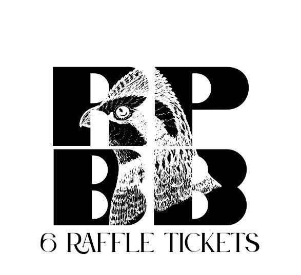 6 Raffle Tickets 6 Raffle Tickets