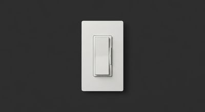 2 in 1 Driver + Dimmer  Switch - 96W