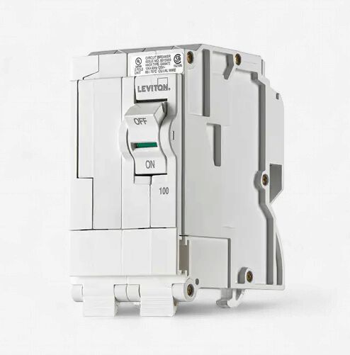 LV| Double Pole 100A Branch Circuit Breaker