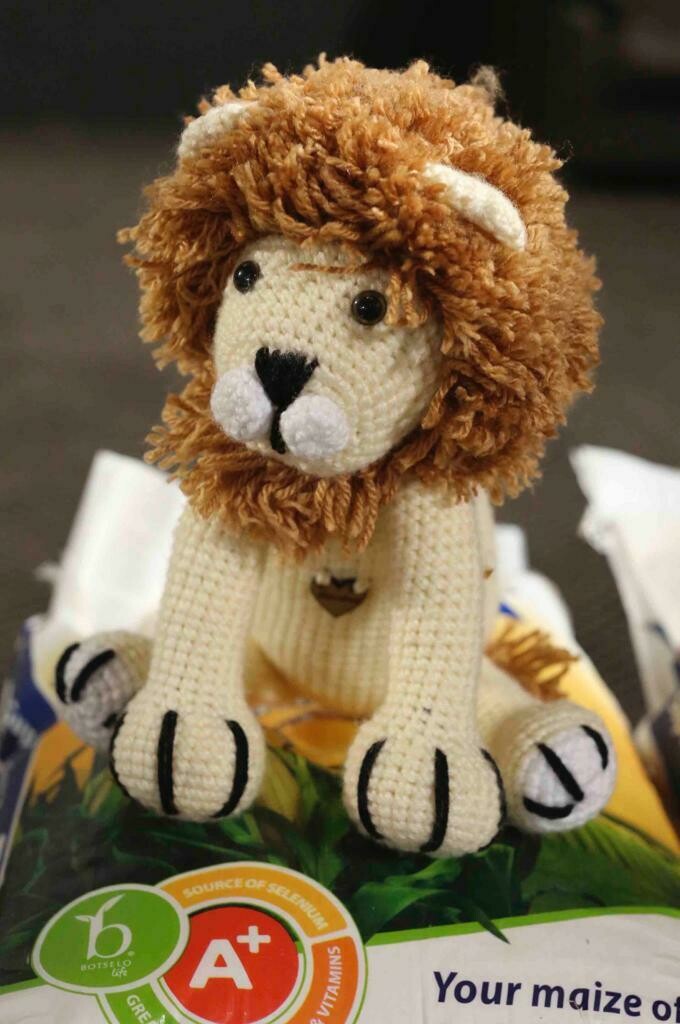 Lion Lion