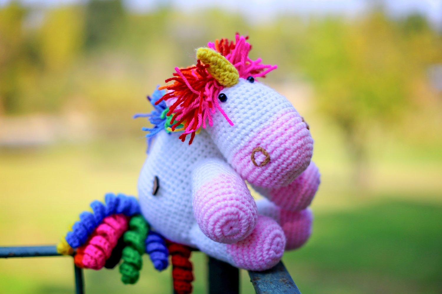 Unicorn Unicorn