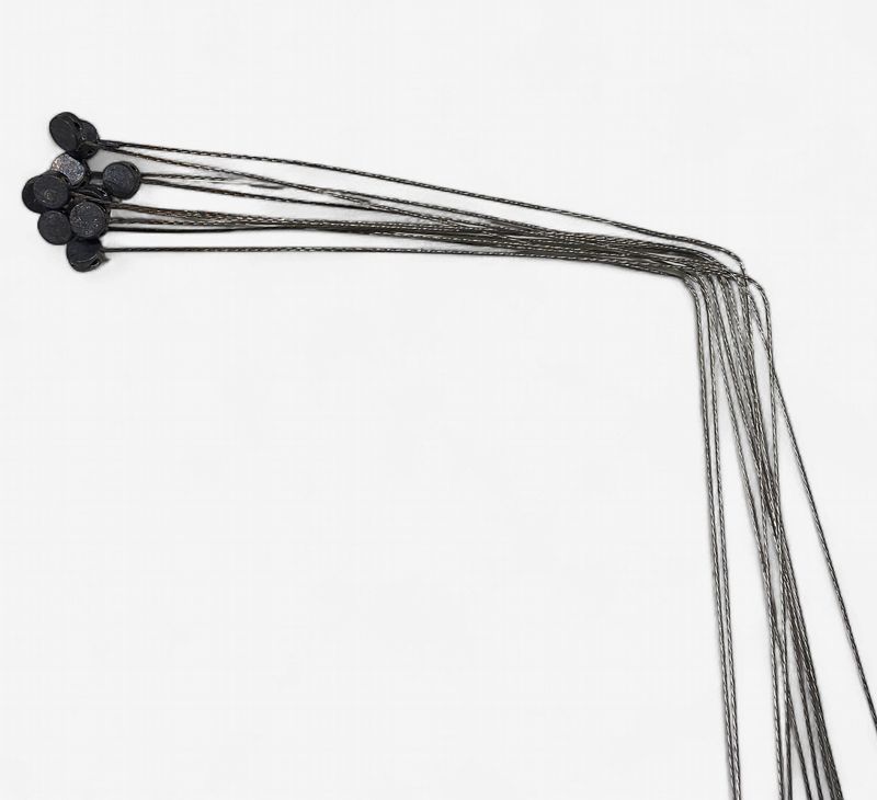 SECURITY LEAD SEAL W/10" MONEL  WIRE 10 PACK