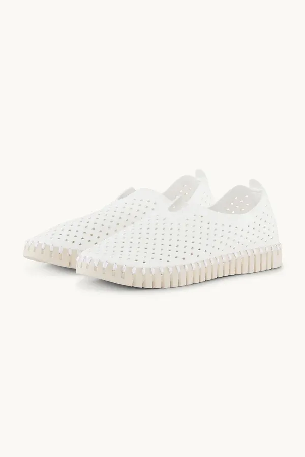 TULIP PERFED SHOE