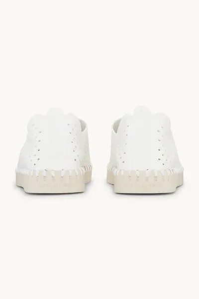 TULIP PERFED SHOE