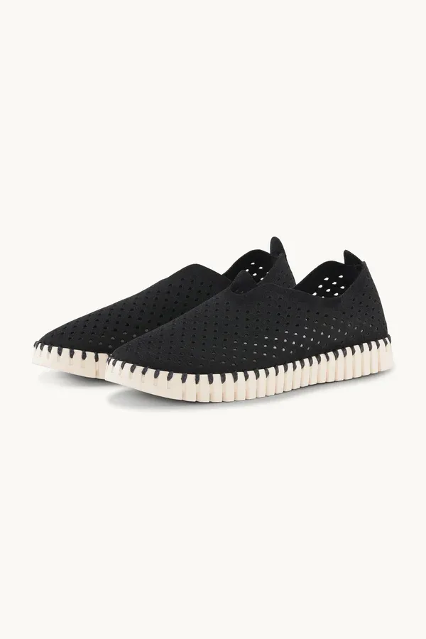 TULIP PERFED SHOE