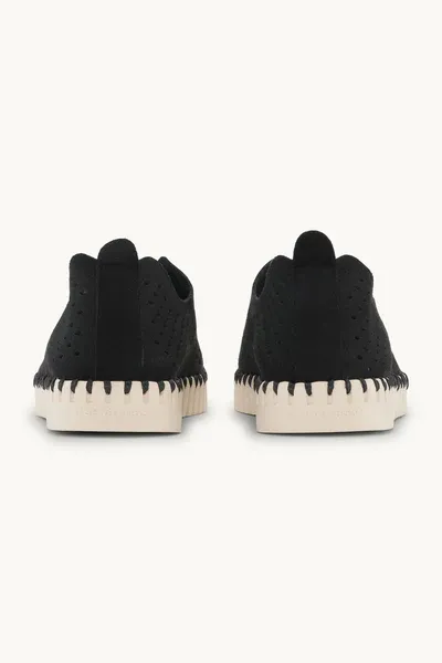 TULIP PERFED SHOE