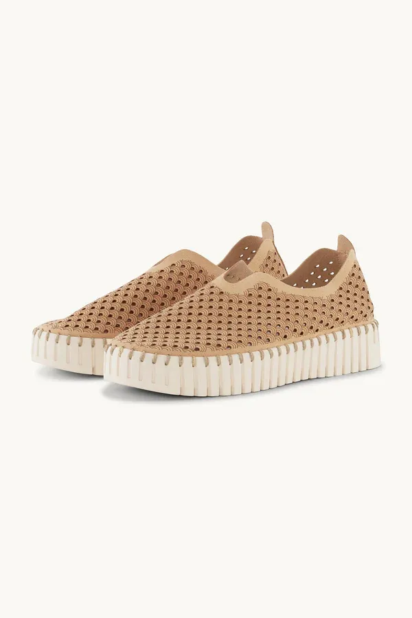 TULIP 3373 PLATFORM