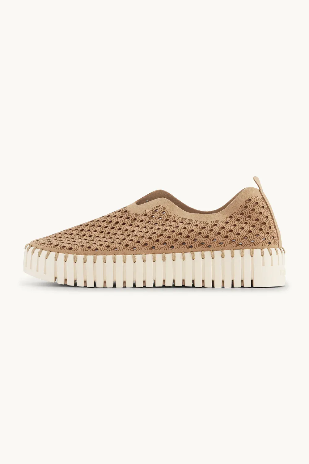 TULIP 3373 PLATFORM