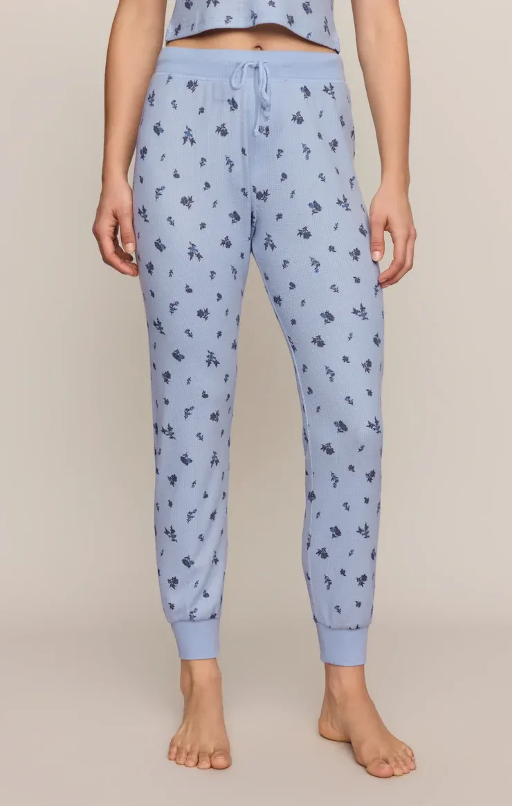 DITSY JOGGER ZLP264953