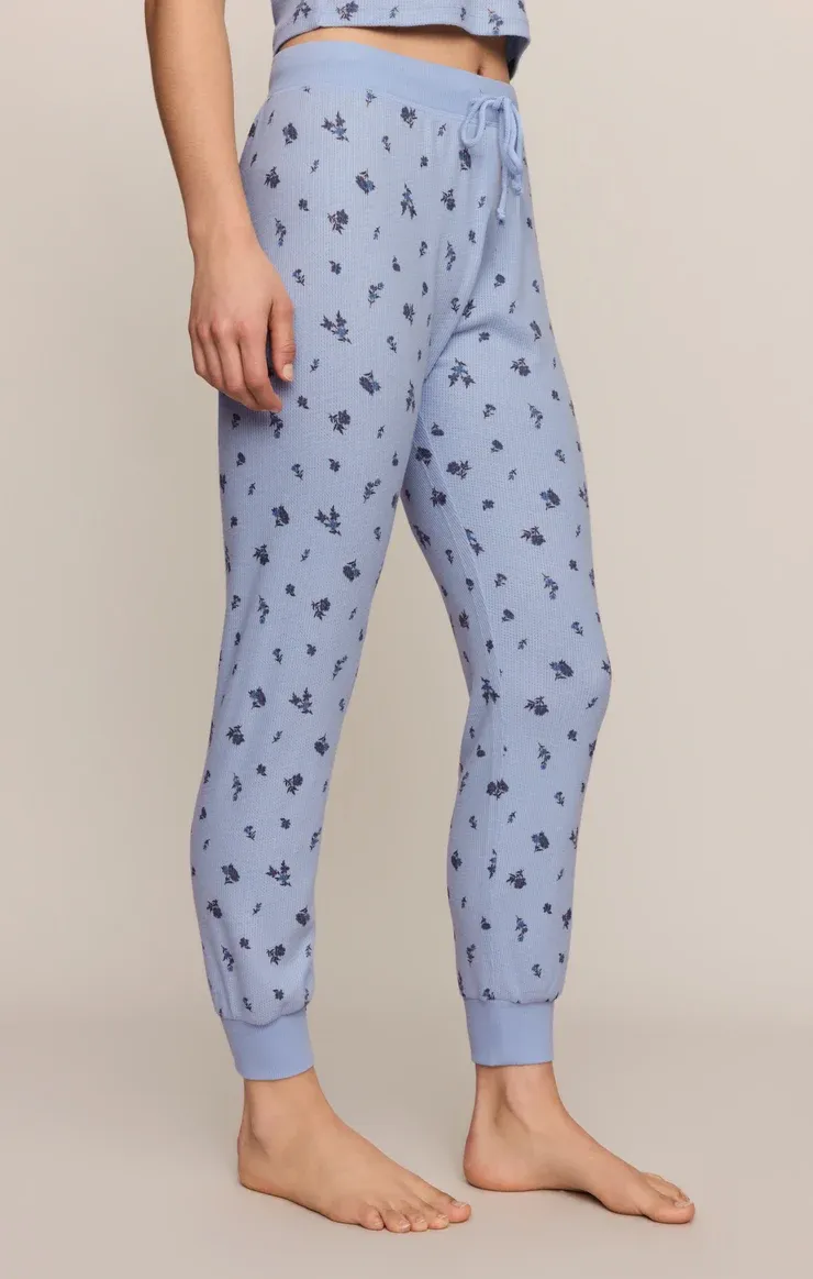 DITSY JOGGER ZLP264953