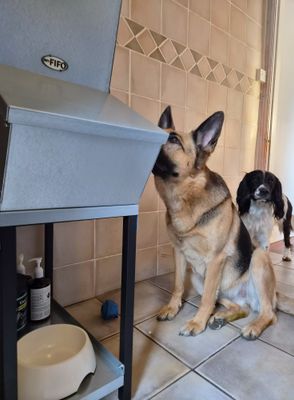 My-Fifo 300 - Mini Feed Hopper Bin