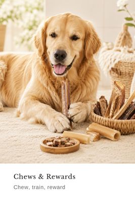Chews &amp; Rewards