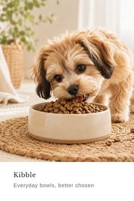 Kibble