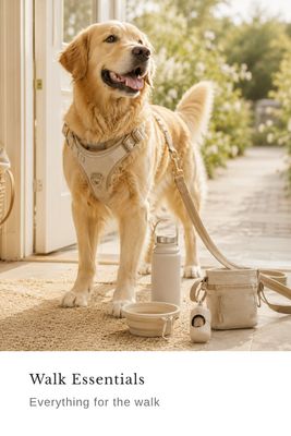 Walk Essentials