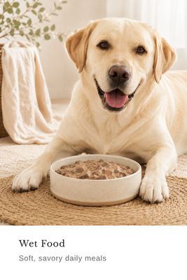Wet Food