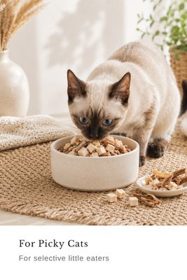 For Picky Cats