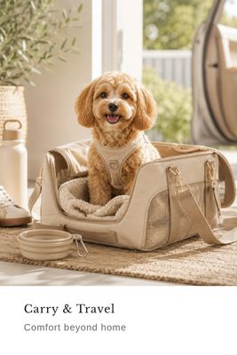 Carry &amp; Travel