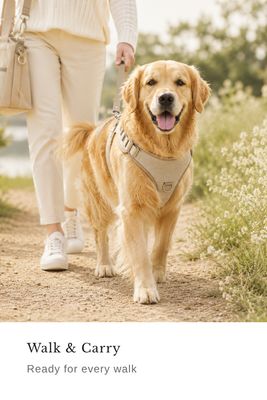 Walk &amp; Carry