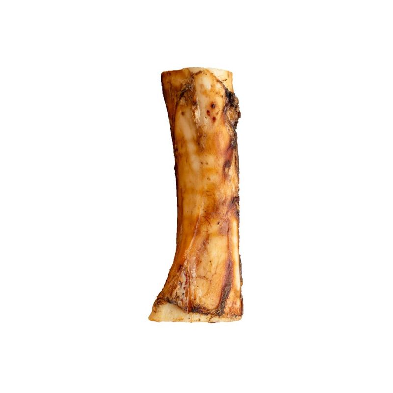 WILDFOODIE 6"-7" Meaty Beef Shank Bone