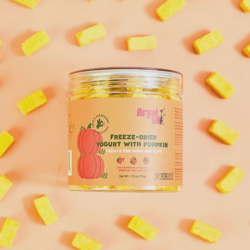 ARYA SIT! Freeze-Dried Pumpkin Yogurt