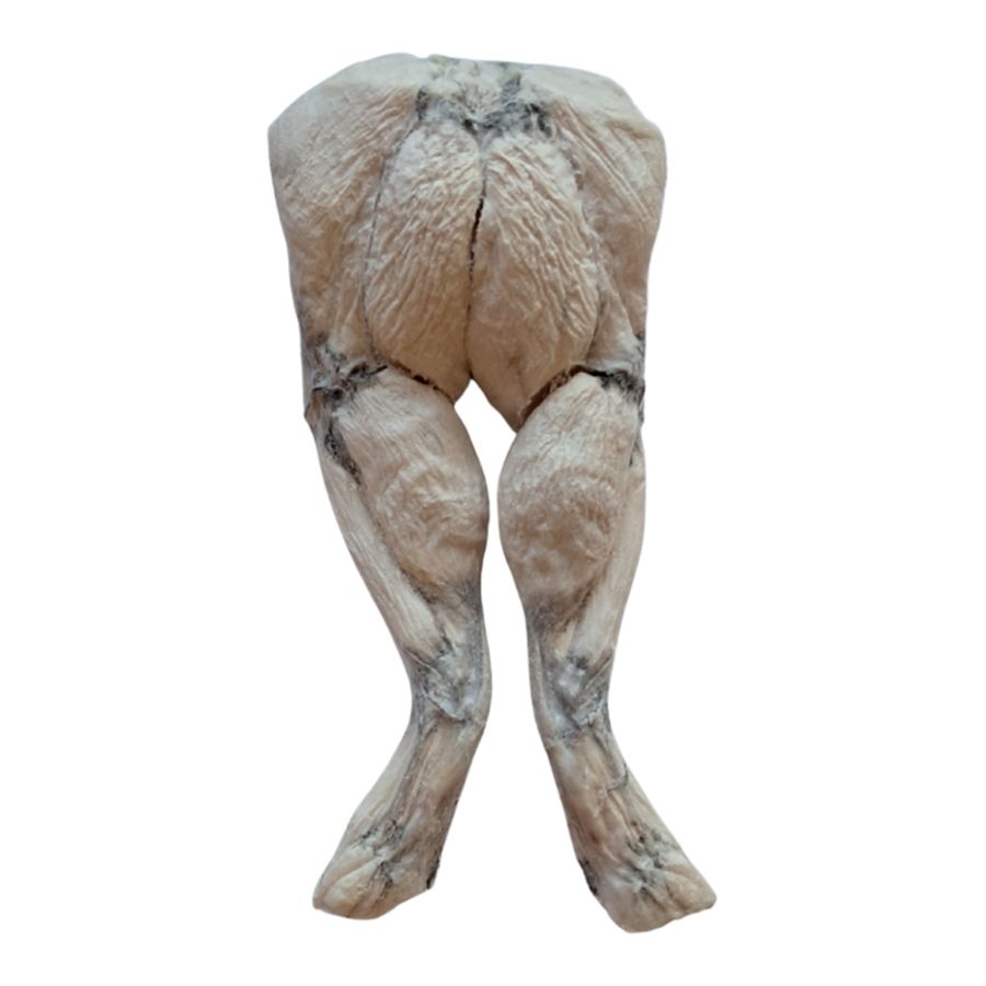 BONES&amp;CO Dog Freeze-dried Frog Legs Single