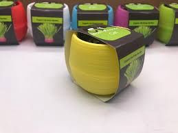 Cat Grass Kit