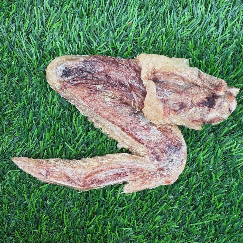 WILDFOODIE Freeze-dried Duck Wing