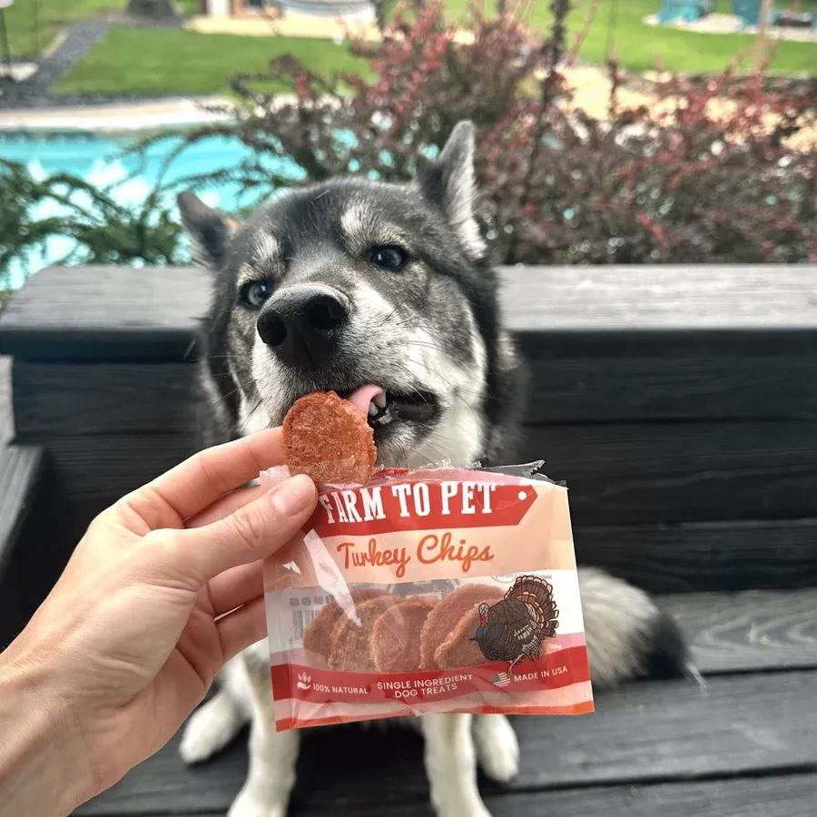 FARM TO PET Dog Turkey Chips 4oz, Size: 4 oz