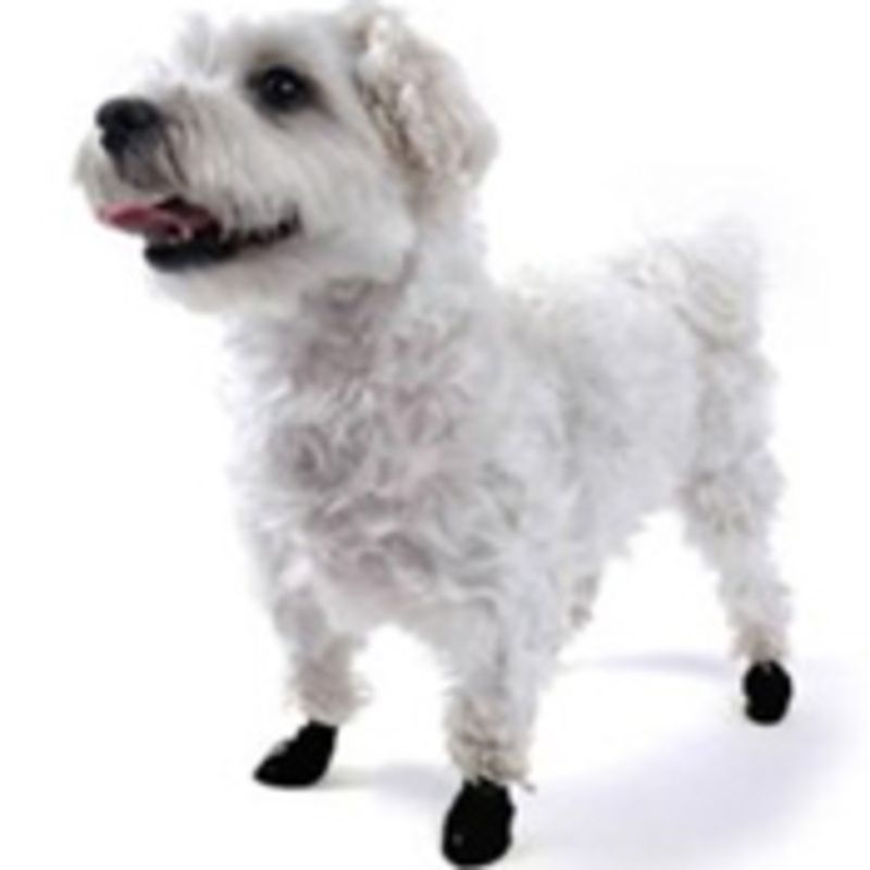 Pawz Dog Boots Black XXSmall 12 Count