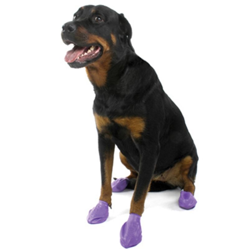 PAWZ Dog Boots Purple Large - 12 Count