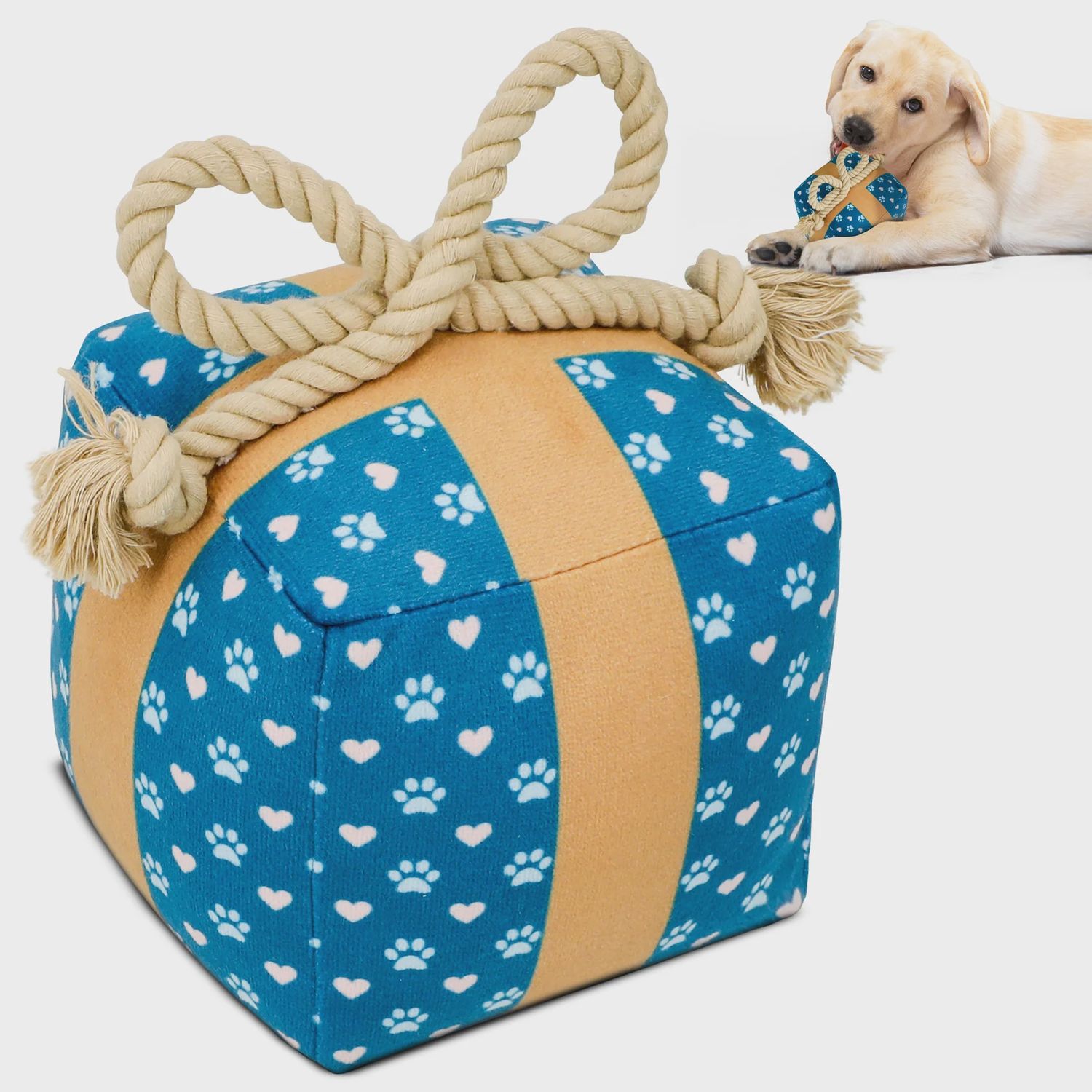 PUPROAR Dog Gift Box Squeaky Toy