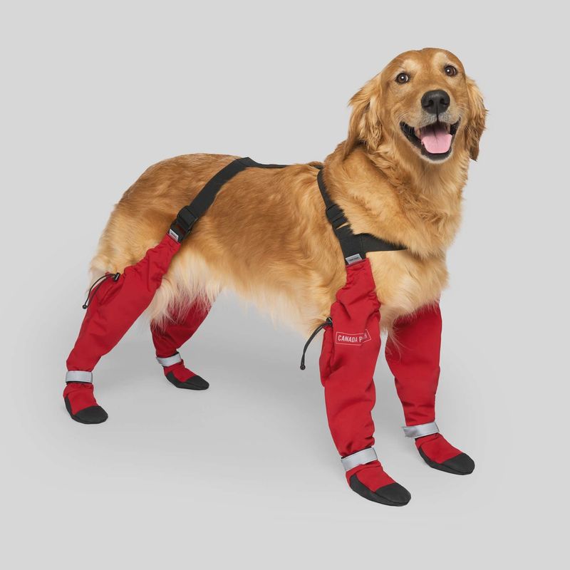 SUSPENDER BOOTS - DOG BOOTS RED SIZE 1