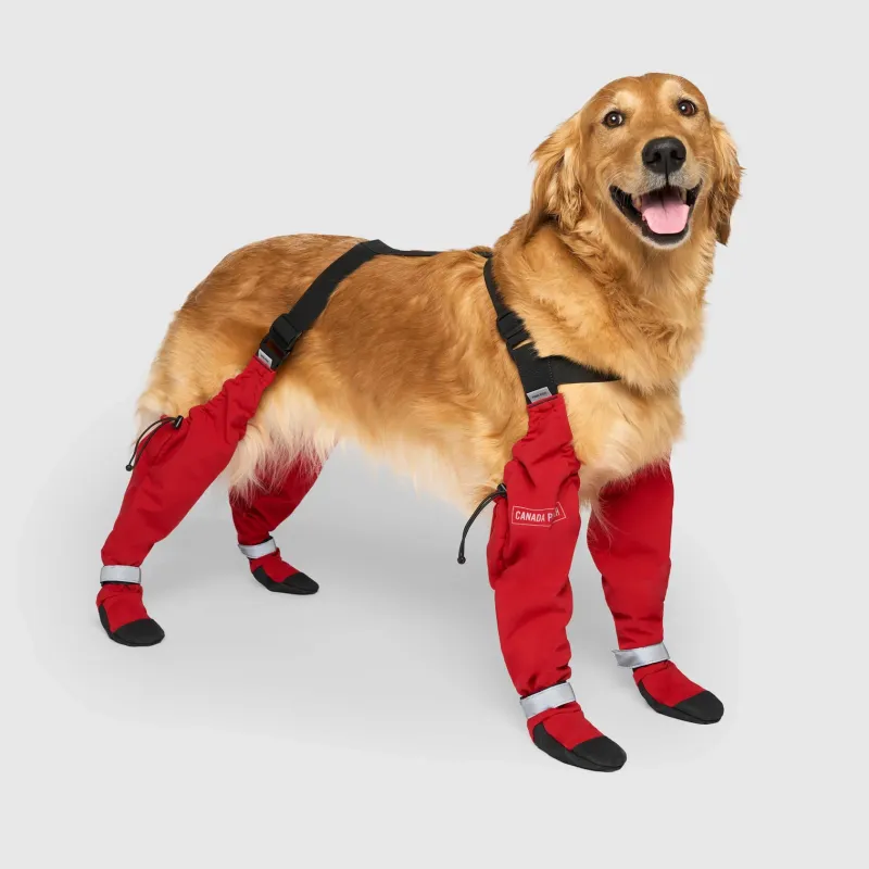 Suspender Boots - Dog Boots Red