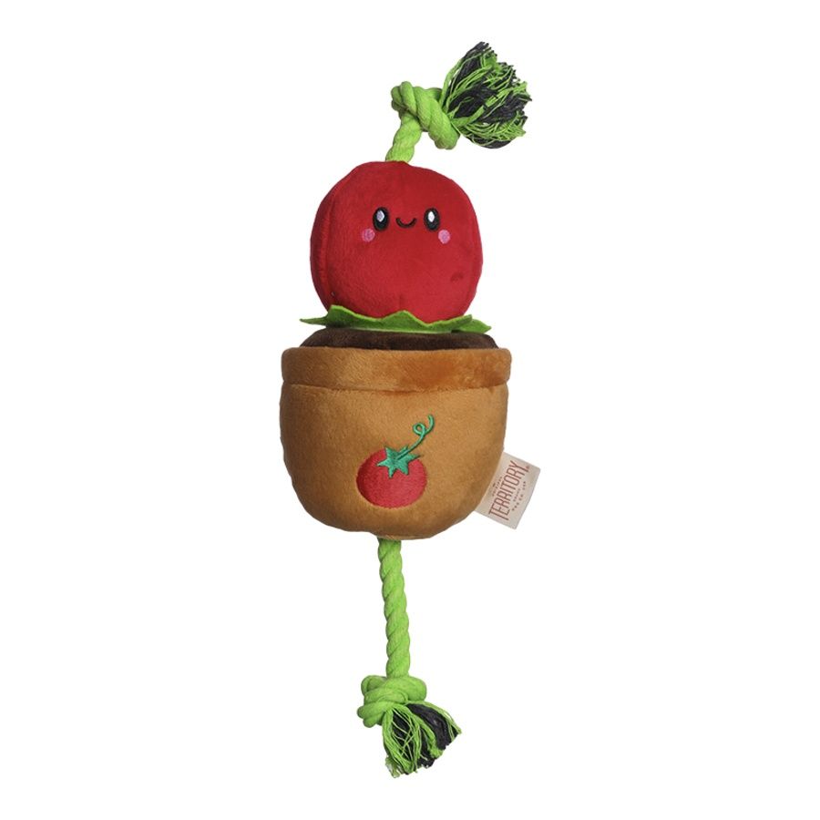 TERRITORY DOG TREAT TUG TOMATO 15