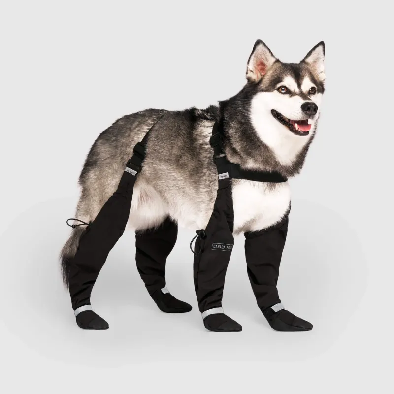 Suspender Boots - Dog Boots Black