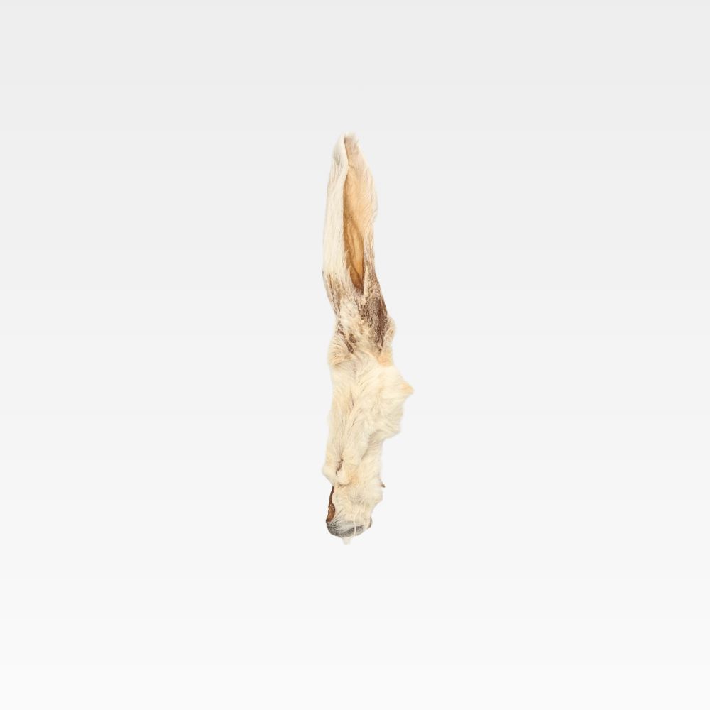 WILDFOODIE Rabbit Ear With Fur