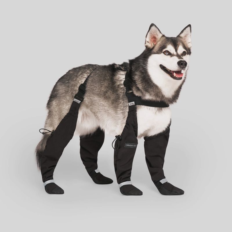 SUSPENDER BOOTS - DOG BOOTS BLACK SIZE 2
