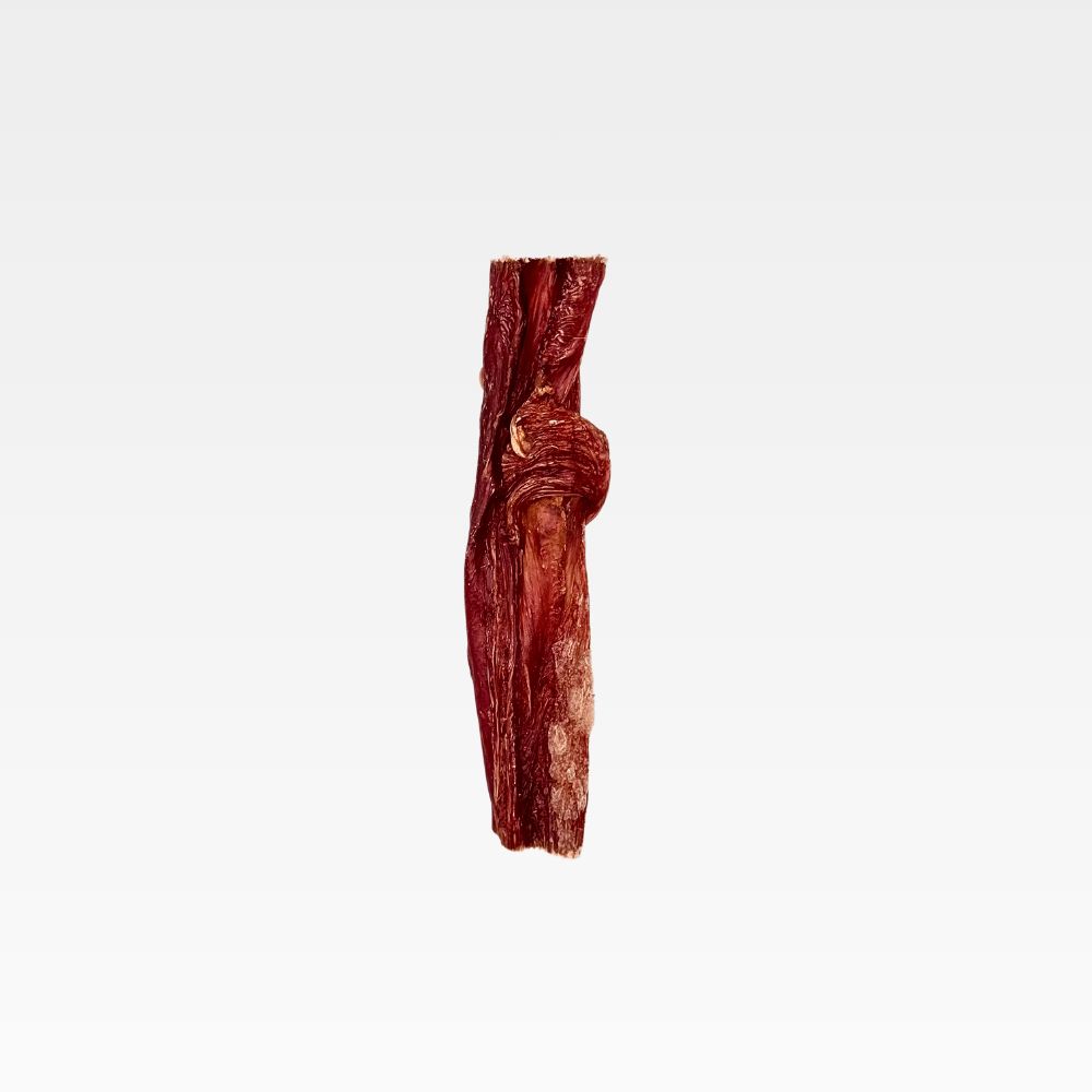 WILDFOODIE 6" Bladder Stick, Size: 6 inch