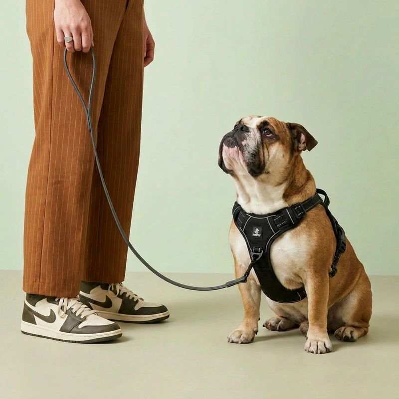 KOIPET No Pull Harness