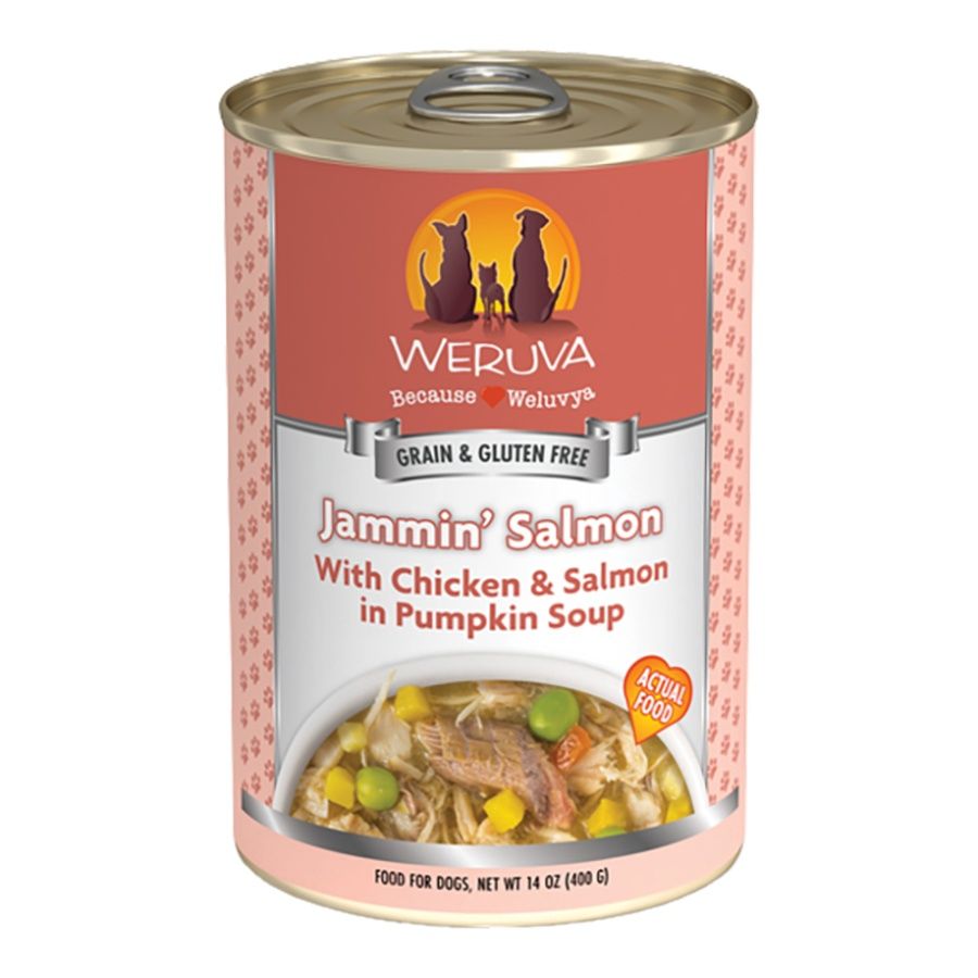 WERUVA DOG JAMMIN' SALMON 14OZ