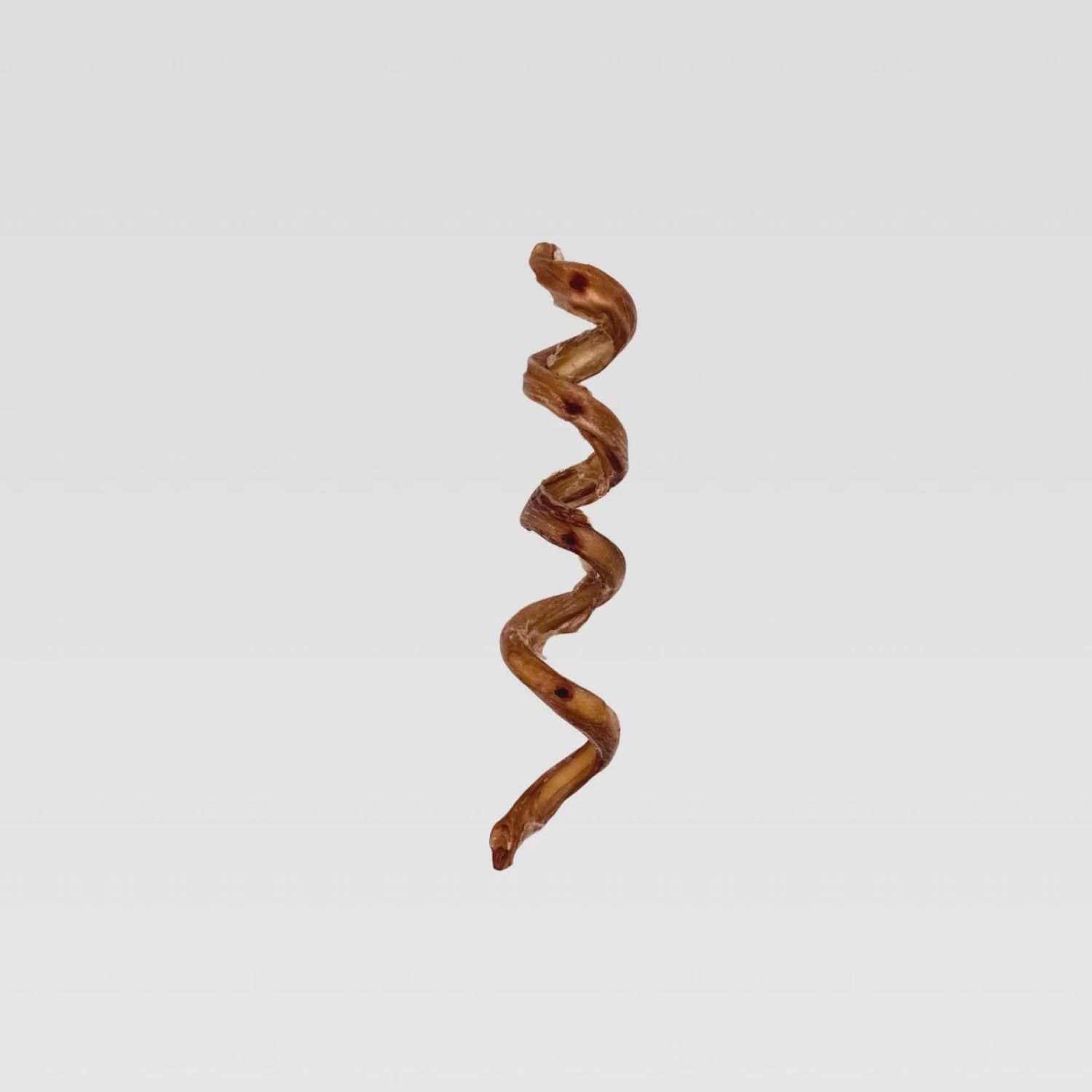 WILDFOODIE 10-12" Curly Bully Stick